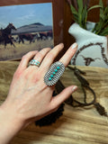 The Zuni Ring