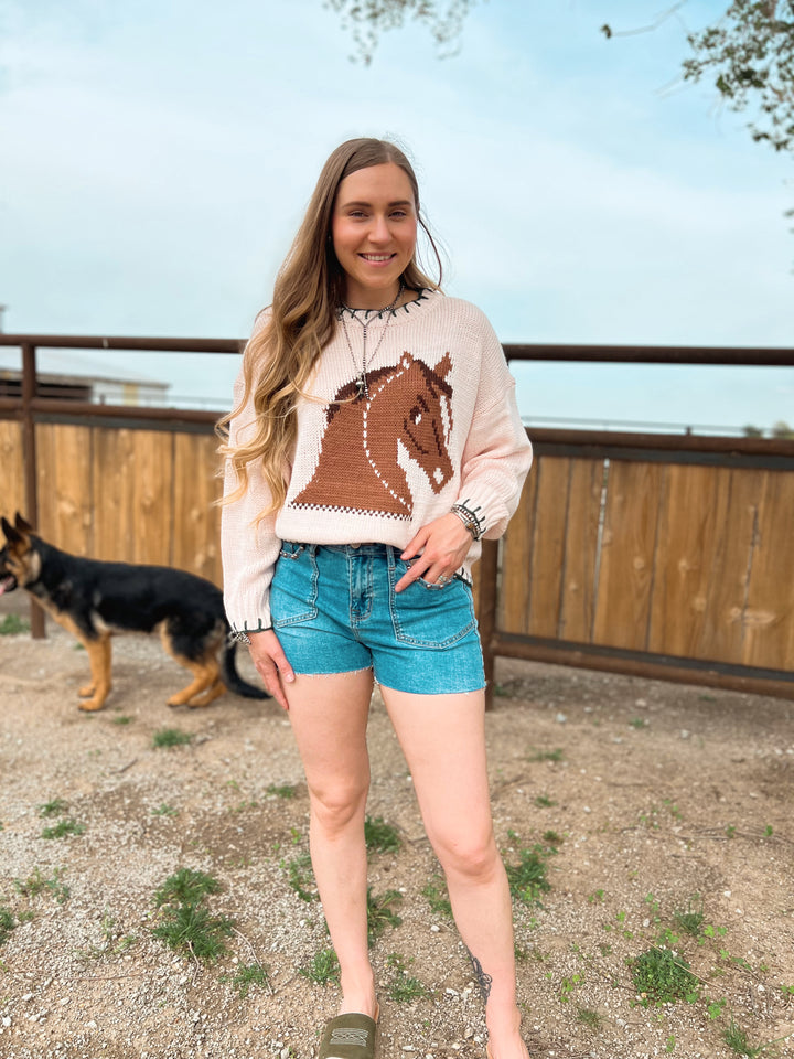 Pink Pony Club Sweater