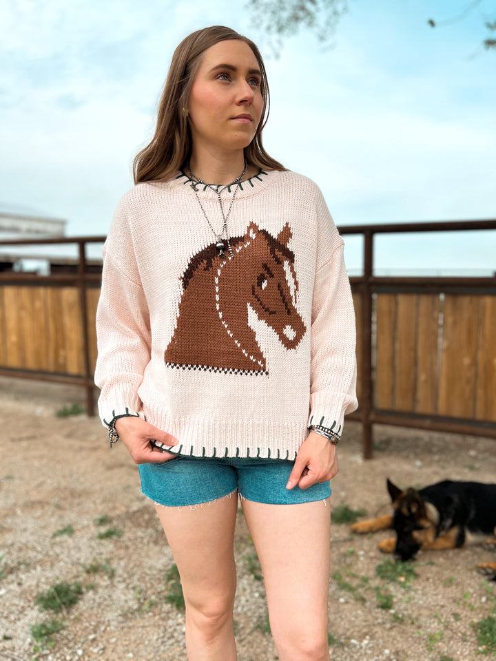 Pink Pony Club Sweater